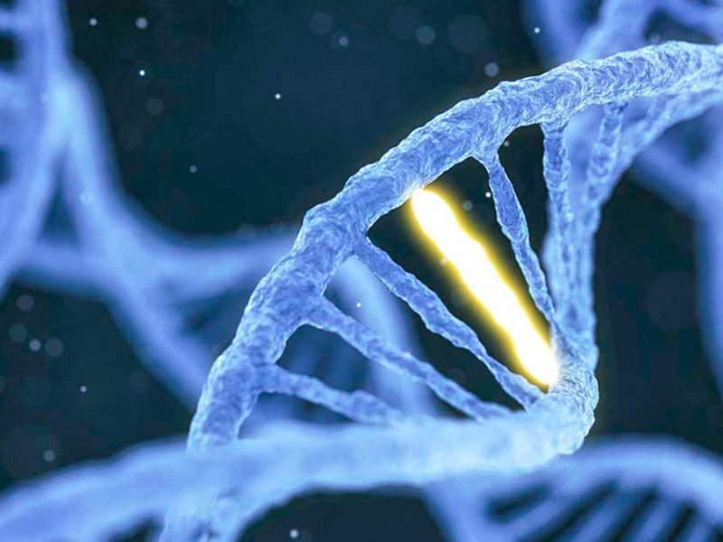 CRISPR может вызвать более серьезные повреждения ДНК, чем думали ученые